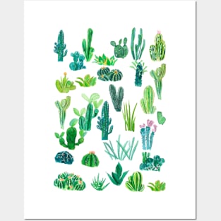 botanical cactus collection painting Posters and Art